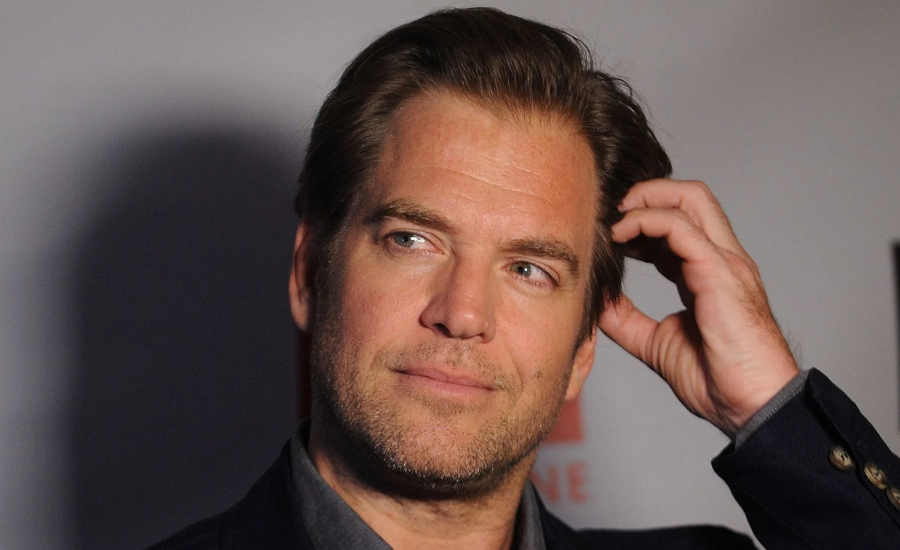 michael weatherly net worth